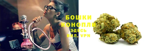 молекула духа Богородск