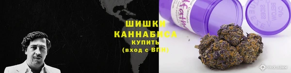 твердый Богданович