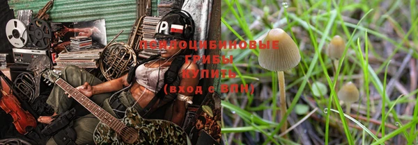 дживик Белоозёрский