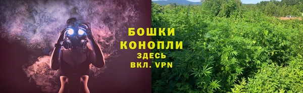 молекула духа Богородск