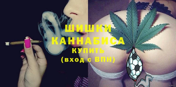 твердый Богданович