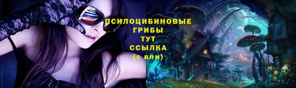 молекула духа Богородск