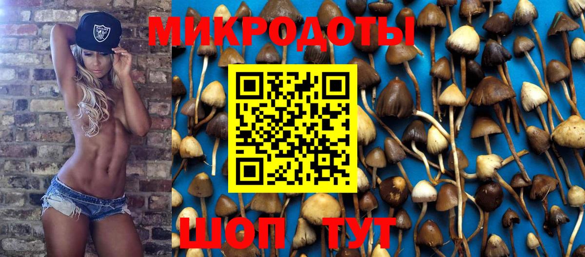 Псилоцибиновые грибы прущие грибы  Галлюциногенные грибы GOLDEN TEACHER  Пыть-Ях  Вход с VPN 
